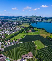 Region Sursee/Oberkirch