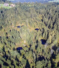 Waldweiher Werthenstein Staldig